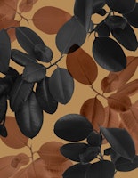 Ficus Leaves Glam 2 ταπετσαρία