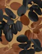 Ficus Leaves Glam 2