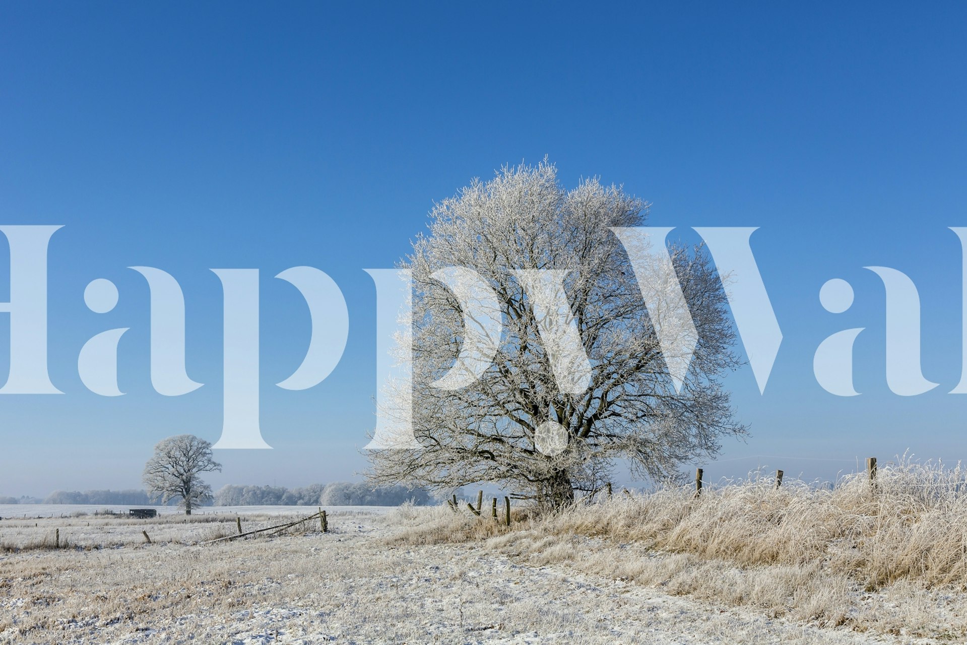 Majestic snow-covered tree in a winter landscape wall mural.