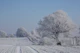 Winterly Nordic Landscape