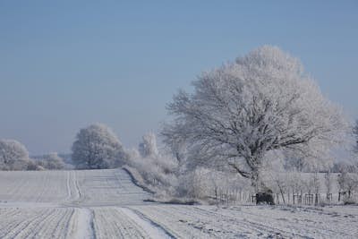 Τοιχογραφία