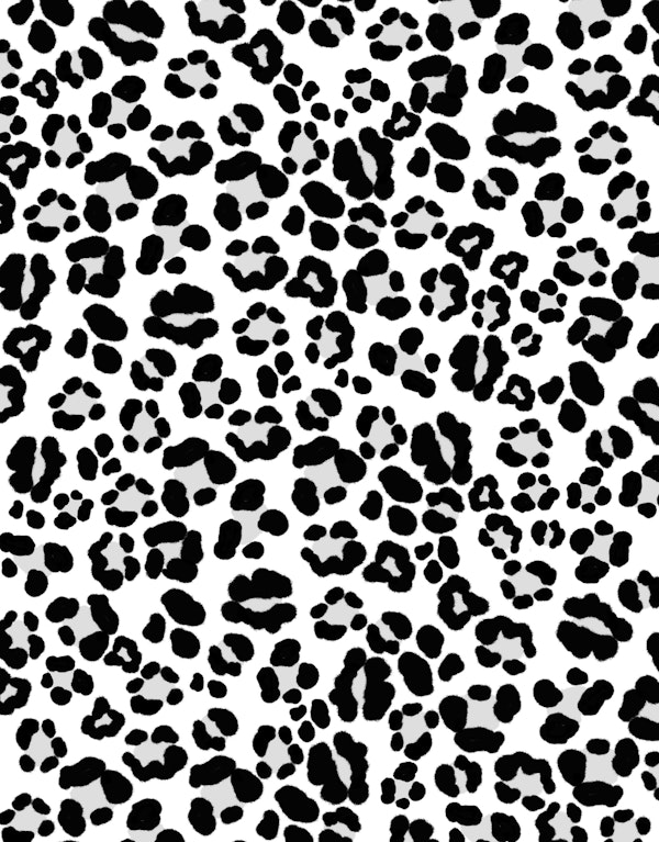 Leopard Print Glam 6