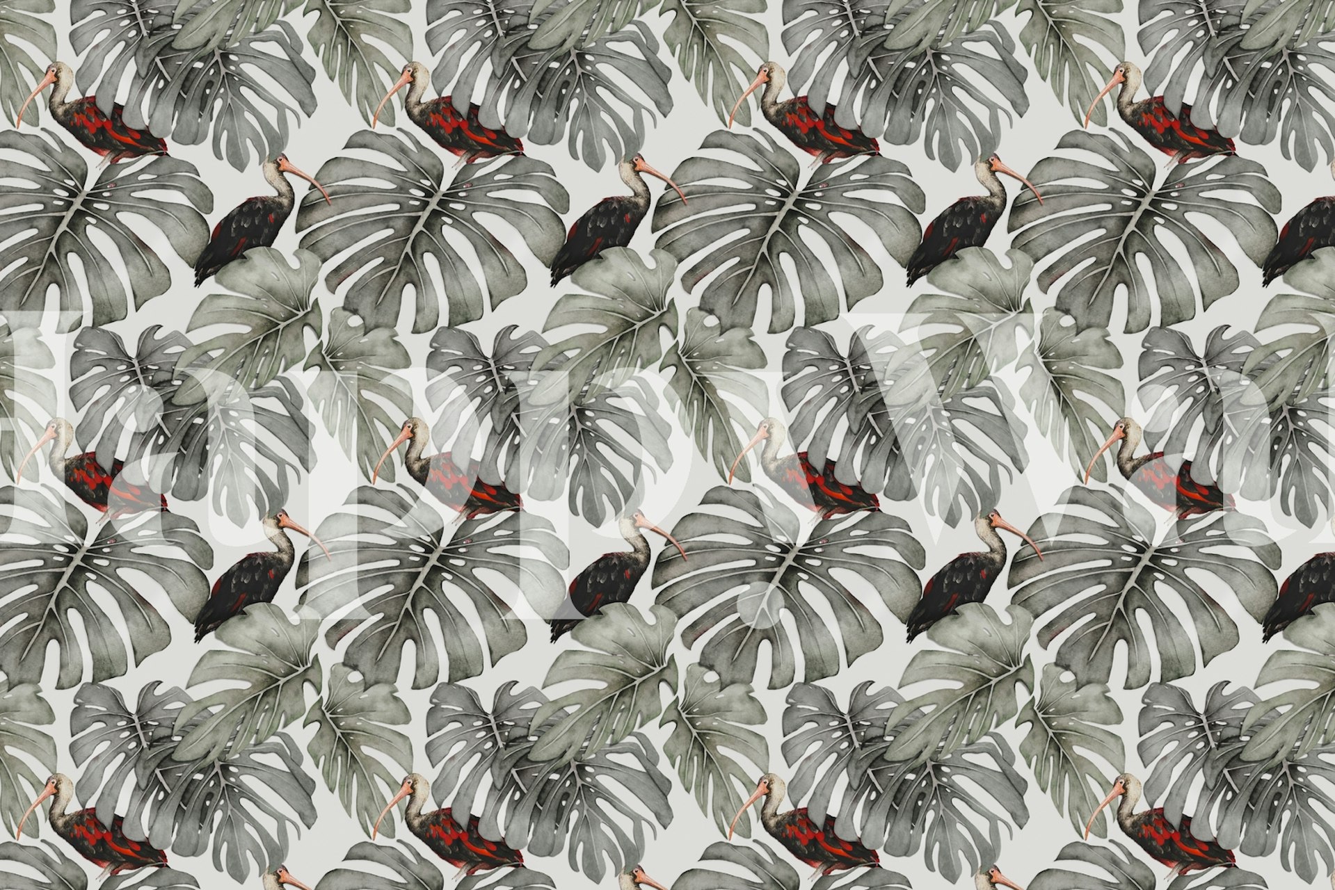 Tapeta Monstera Ibis v pokoji