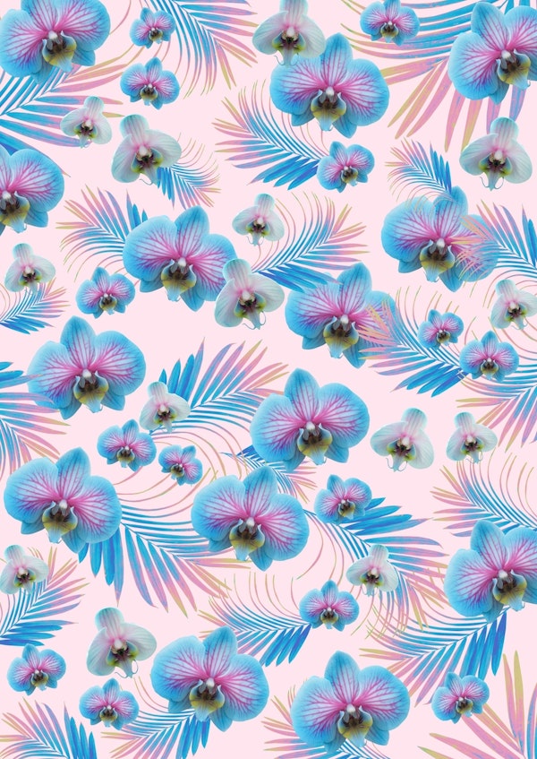 Orchid Palm Leaves Dream 1