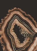 Brown Agate Gold Foil Glam 1 papiers peint