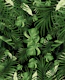 Jungle Night Leaves 5