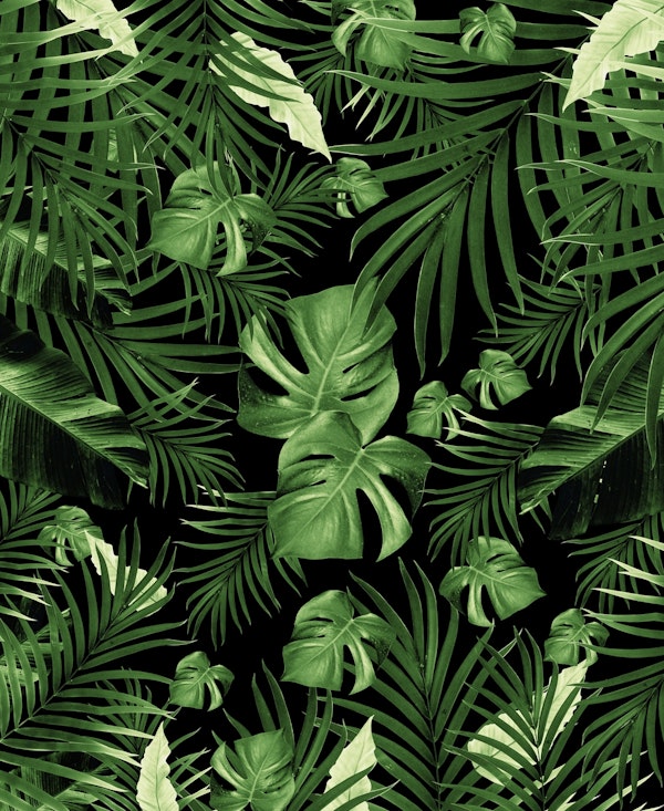 Jungle Night Leaves 5