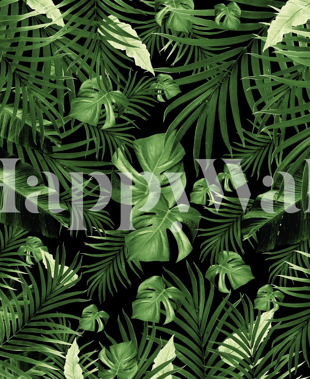 Tropical green leaves pattern on black background wallpaper