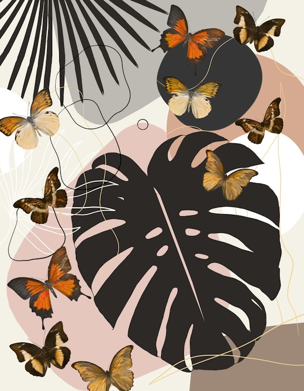 Minimal Monstera Butterfly 1