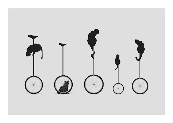 Cats on Unicycle Print
