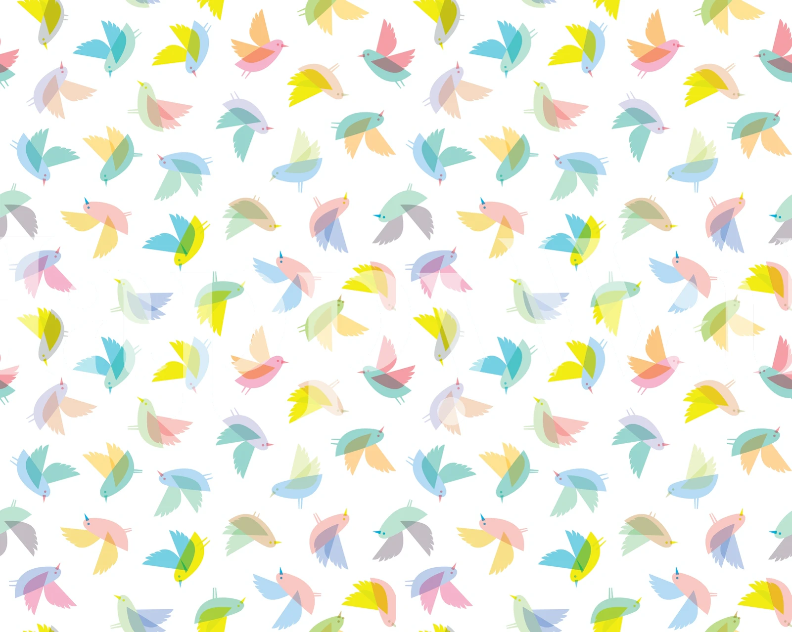 Carta da parati Birds Pattern colorata in una stanza