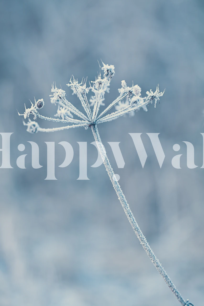 Frosted blue floral design wallpaper