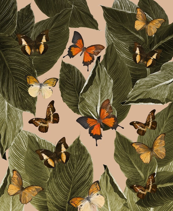 Butterfly Jungle Delight 1