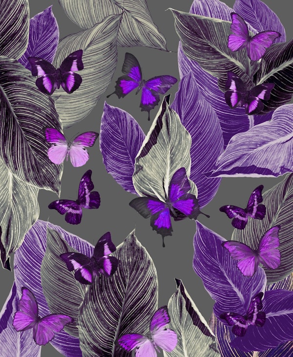 Butterfly Jungle Delight 2