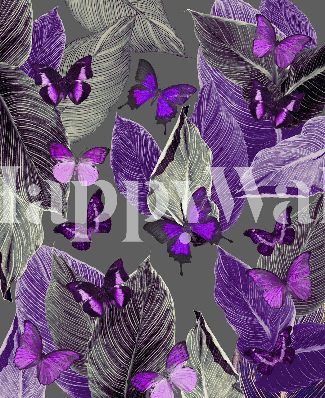 Butterfly Jungle Delight 2 wallpaper in a room