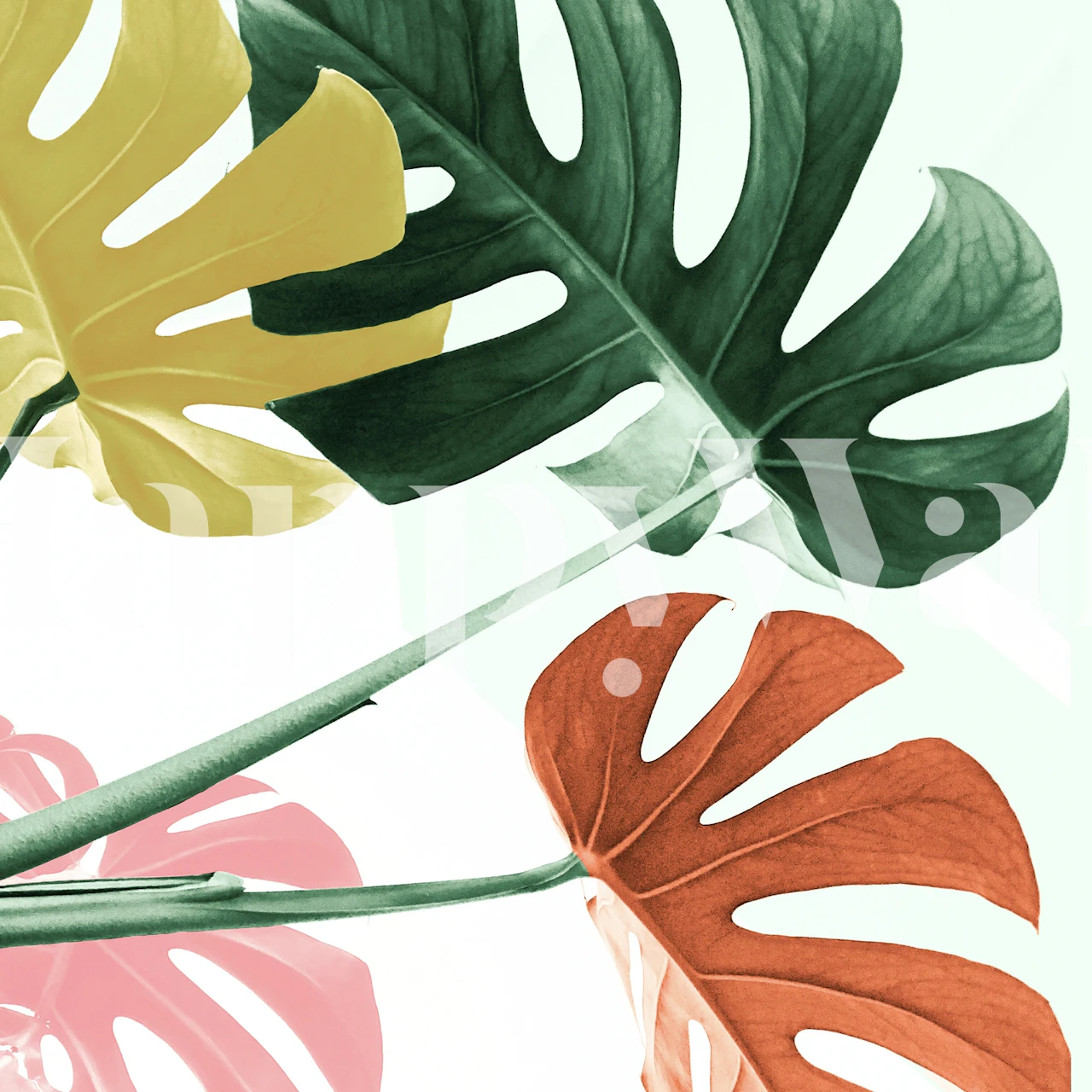 Urban Jungle leaves tapetti huoneessa