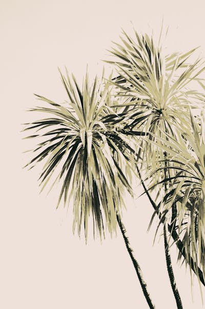 Τοιχογραφία