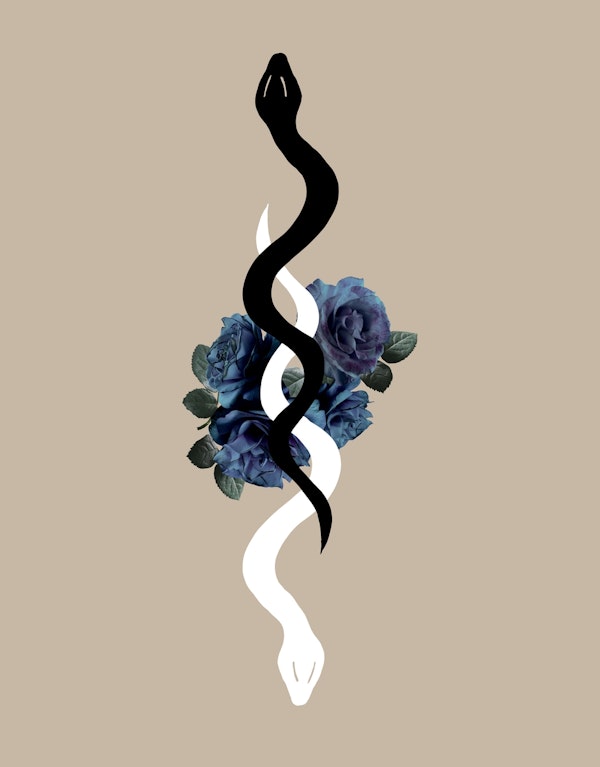 Yin Yang Snake Glam 1