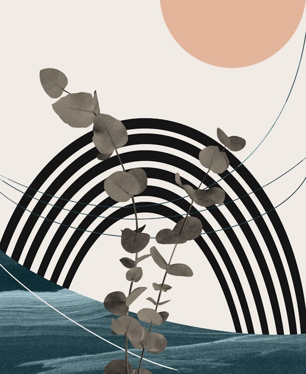 Eucalyptus Rainbow Oasis 2