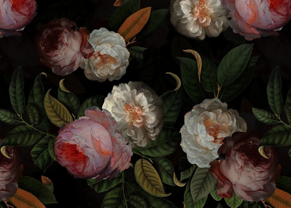 Baroque Jan Davidsz de Heem Night Rose