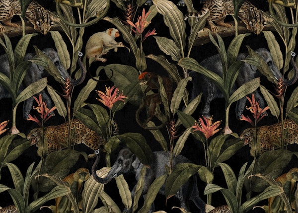 African Night Animals Jungle