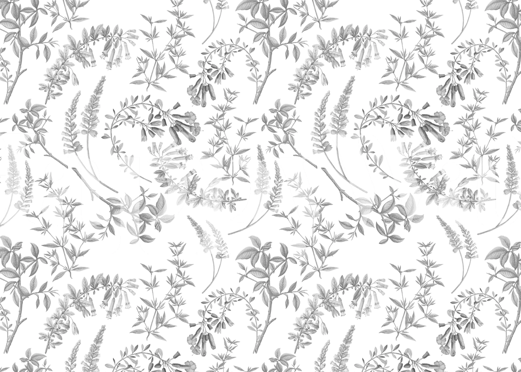 Floral patterns with antique herbs and leaves in gray on white wallpaper