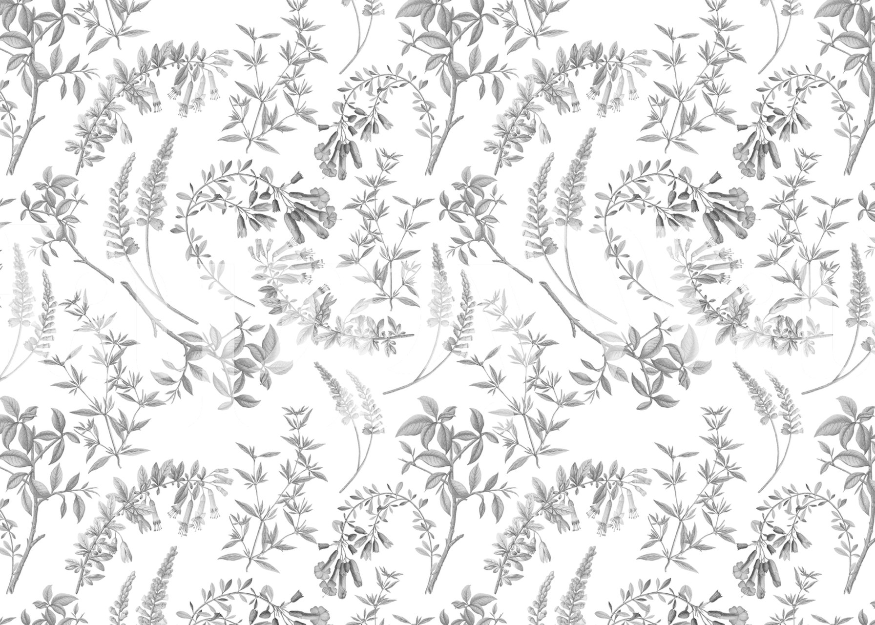 Antique Leaves Herbs Garden tapet i et rom