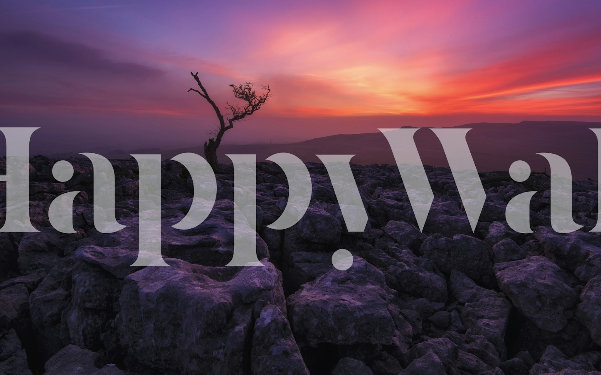 Twisleton Scar Glow wallpaper in a room