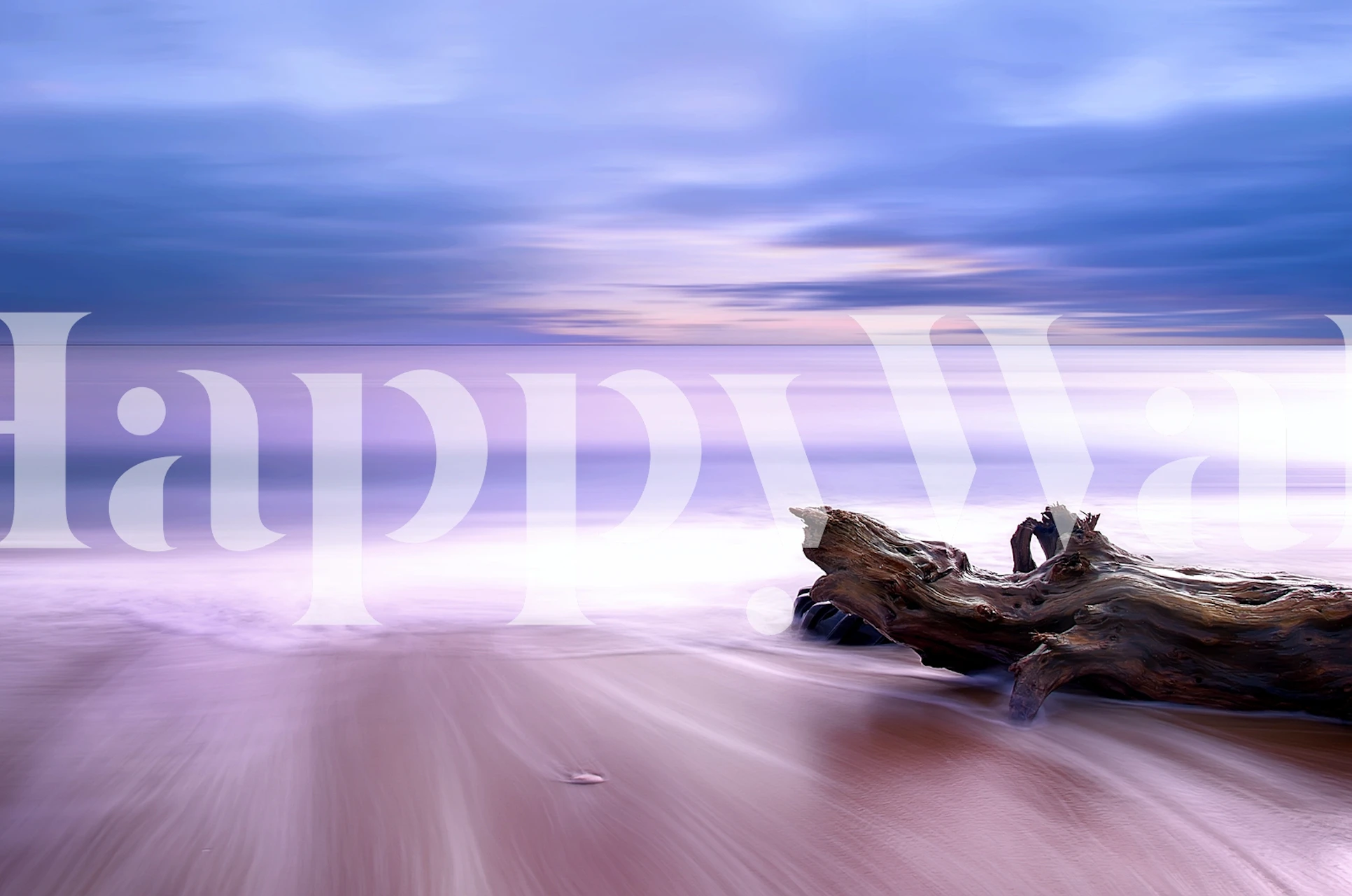 Ocean-inspired wallpaper in a room