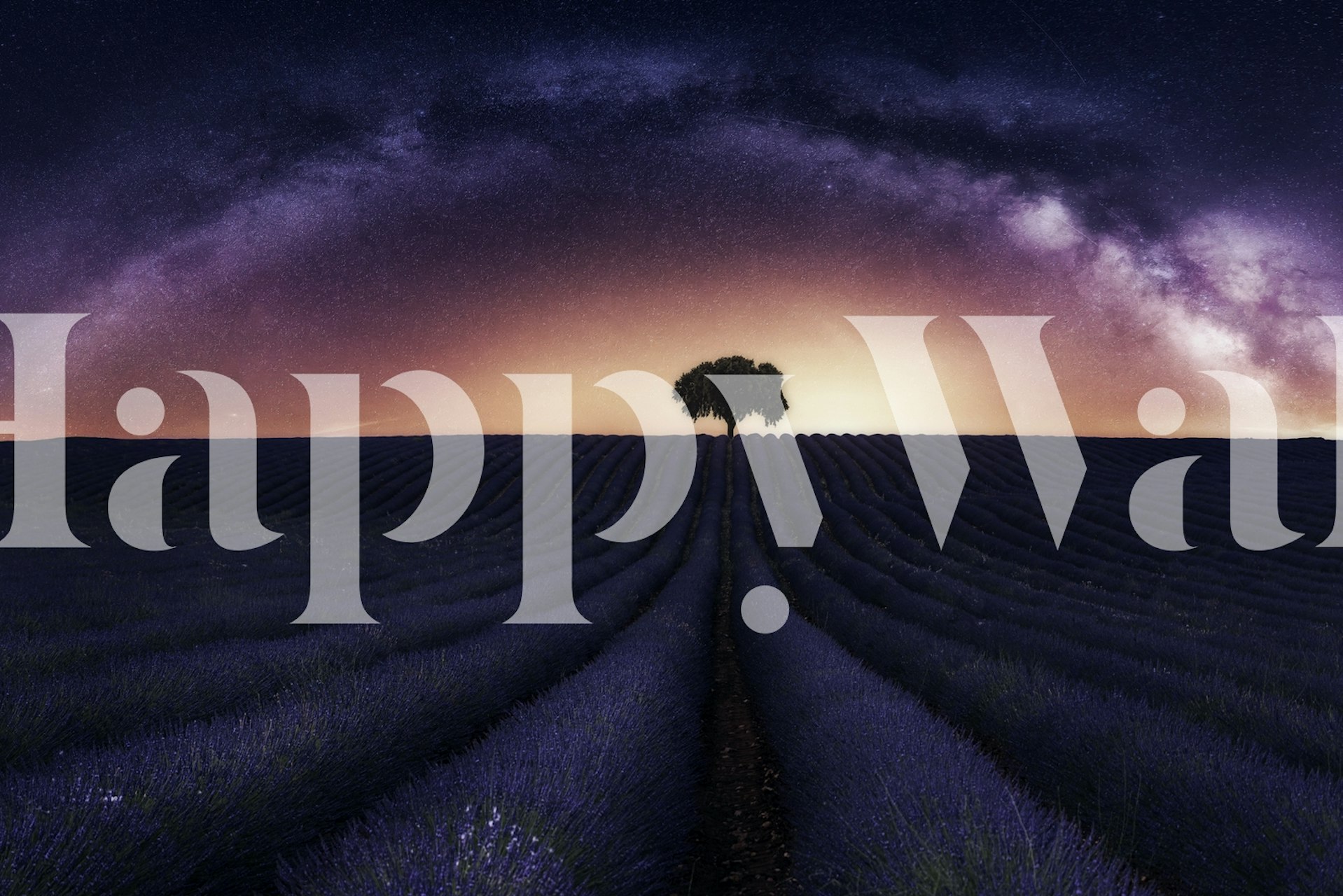 Ontwerp van het behangvelden met lavendel