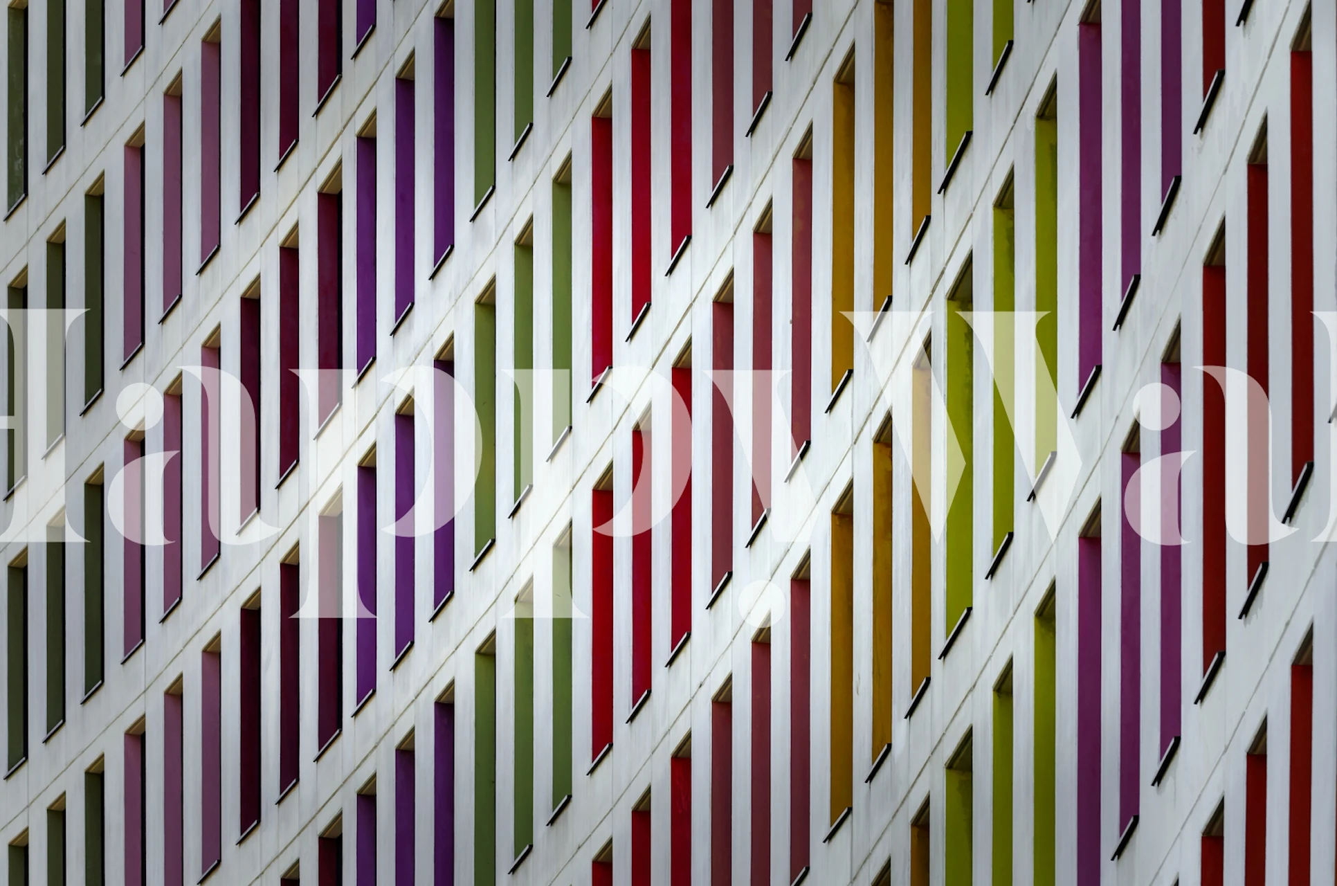 Colorful curved patterns in green, pink, purple, and red wallpaper