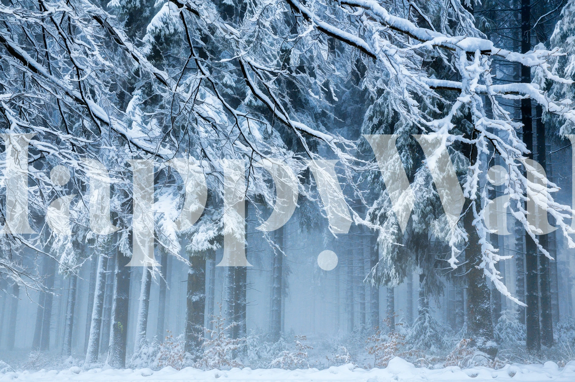 Snowworld wallpaper featuring a snowy forest