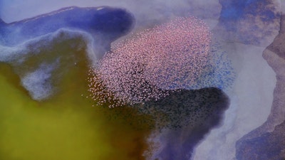 Mural