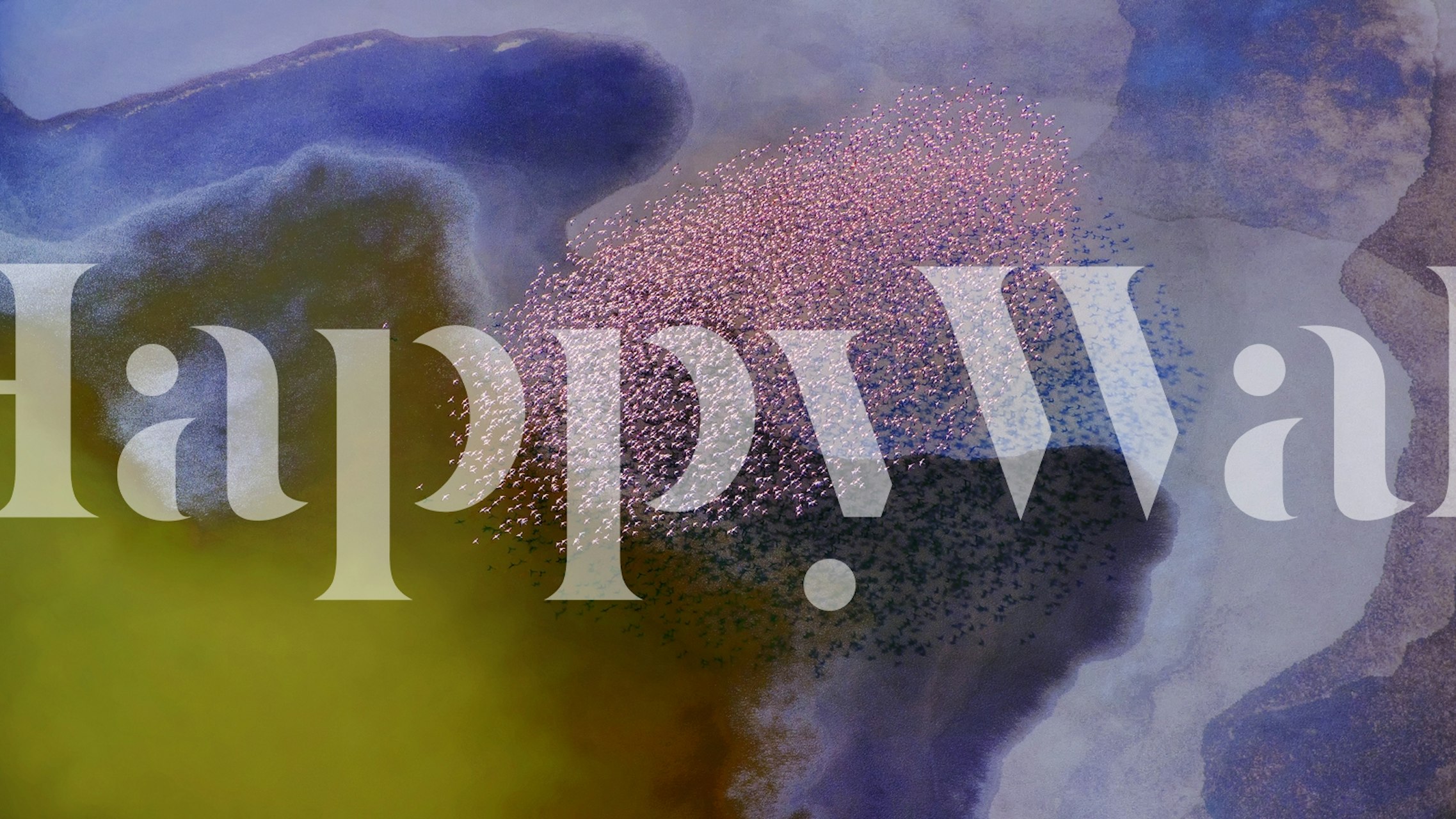 Vibrant wallpaper design featuring incredible colors