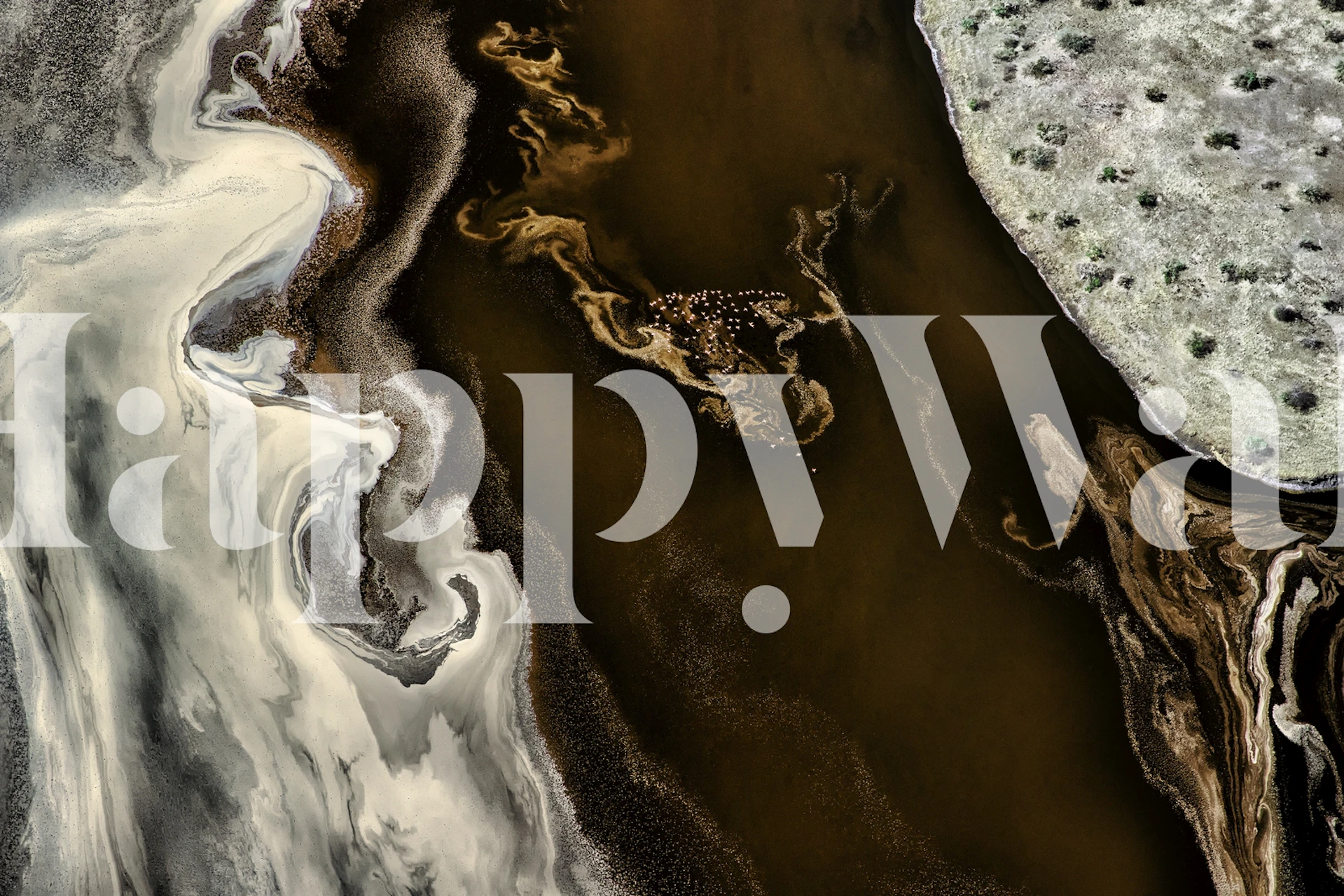 Abstract black and white swirling pattern wallpaper