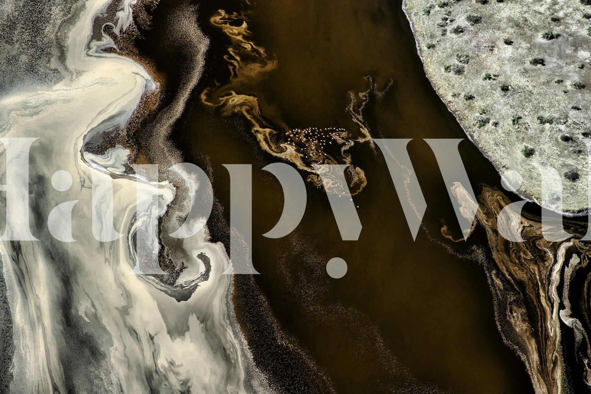 Abstrakti neutraalin sävyinen seinämaalaus orgaanisella marmorilla