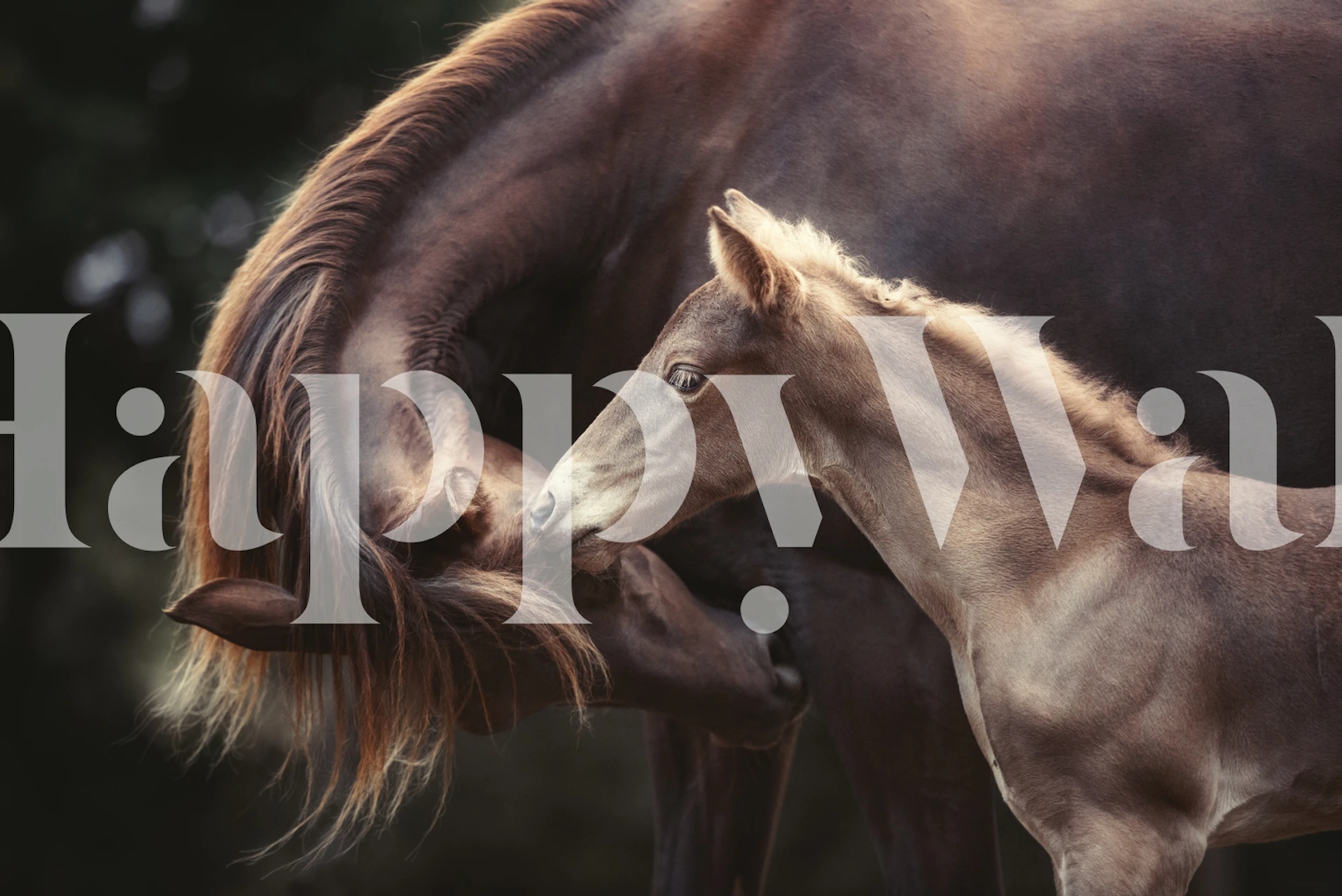 Mare and foal sharing a gentle moment in The Bond wall mural