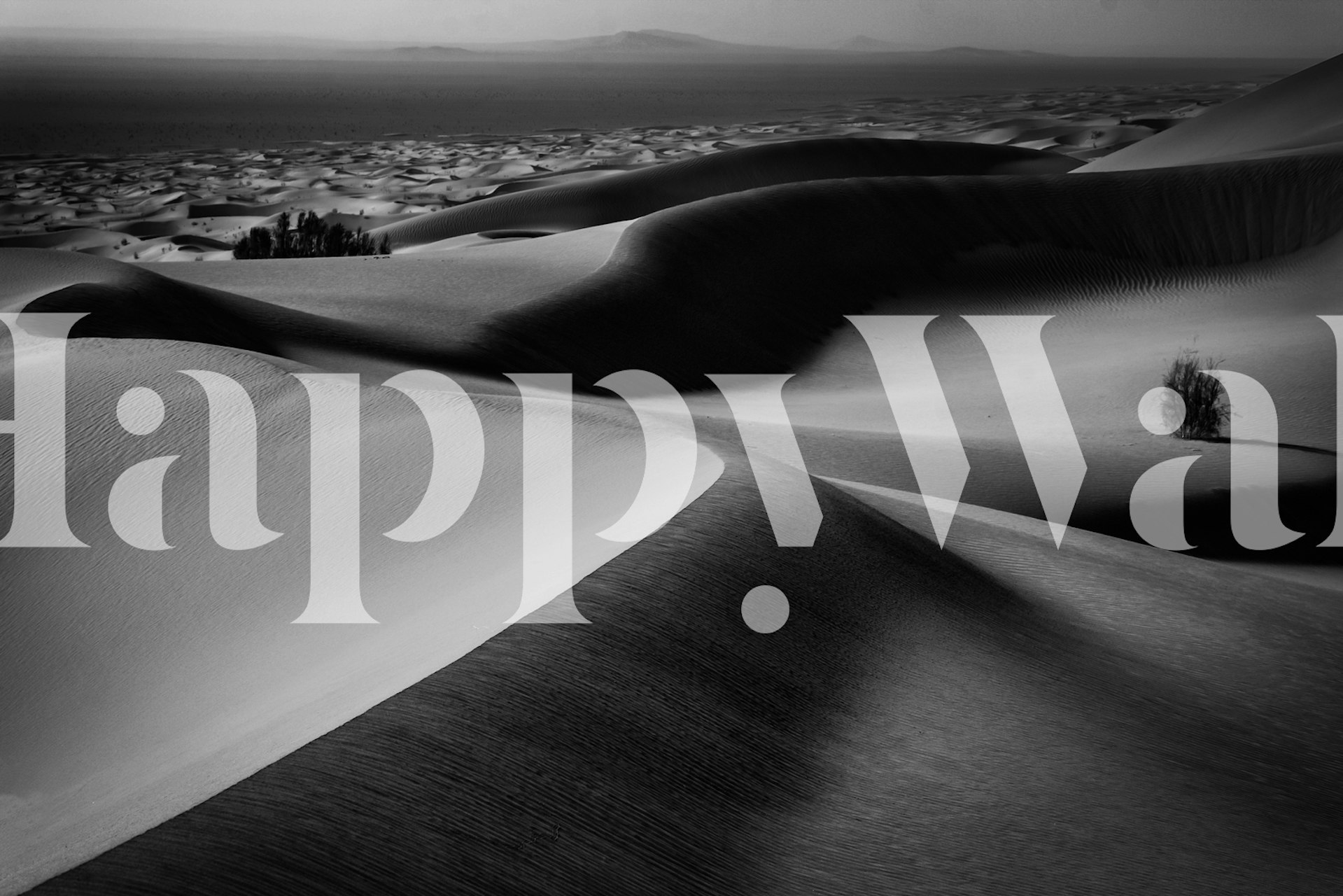 Desert dunes silhouetted in black and white wallpaper