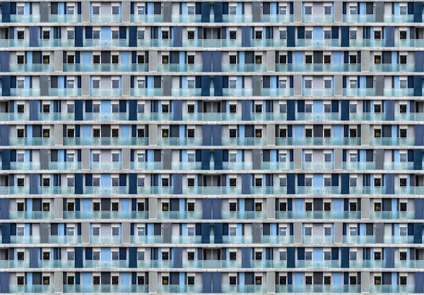 Hive under construction