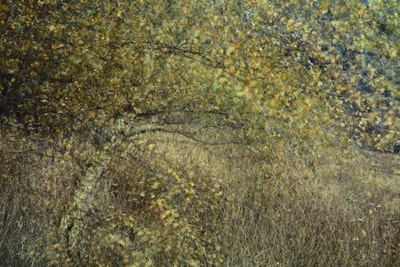 Mural