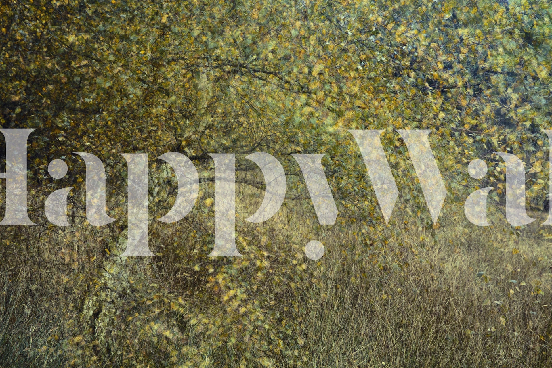 Motion tree wallpaper displayed in a room