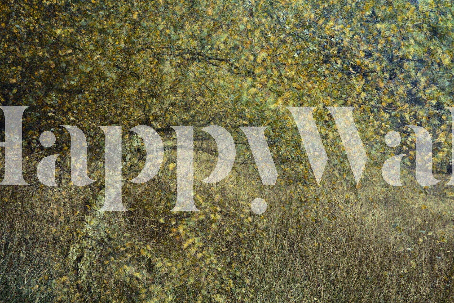 Motion tree wallpaper displayed in a room