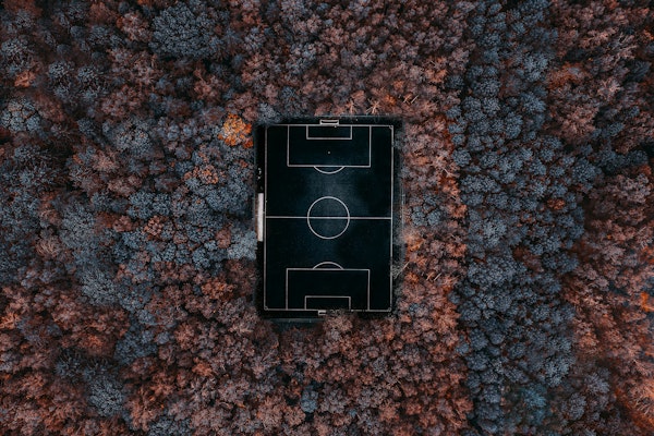 playing in the forest