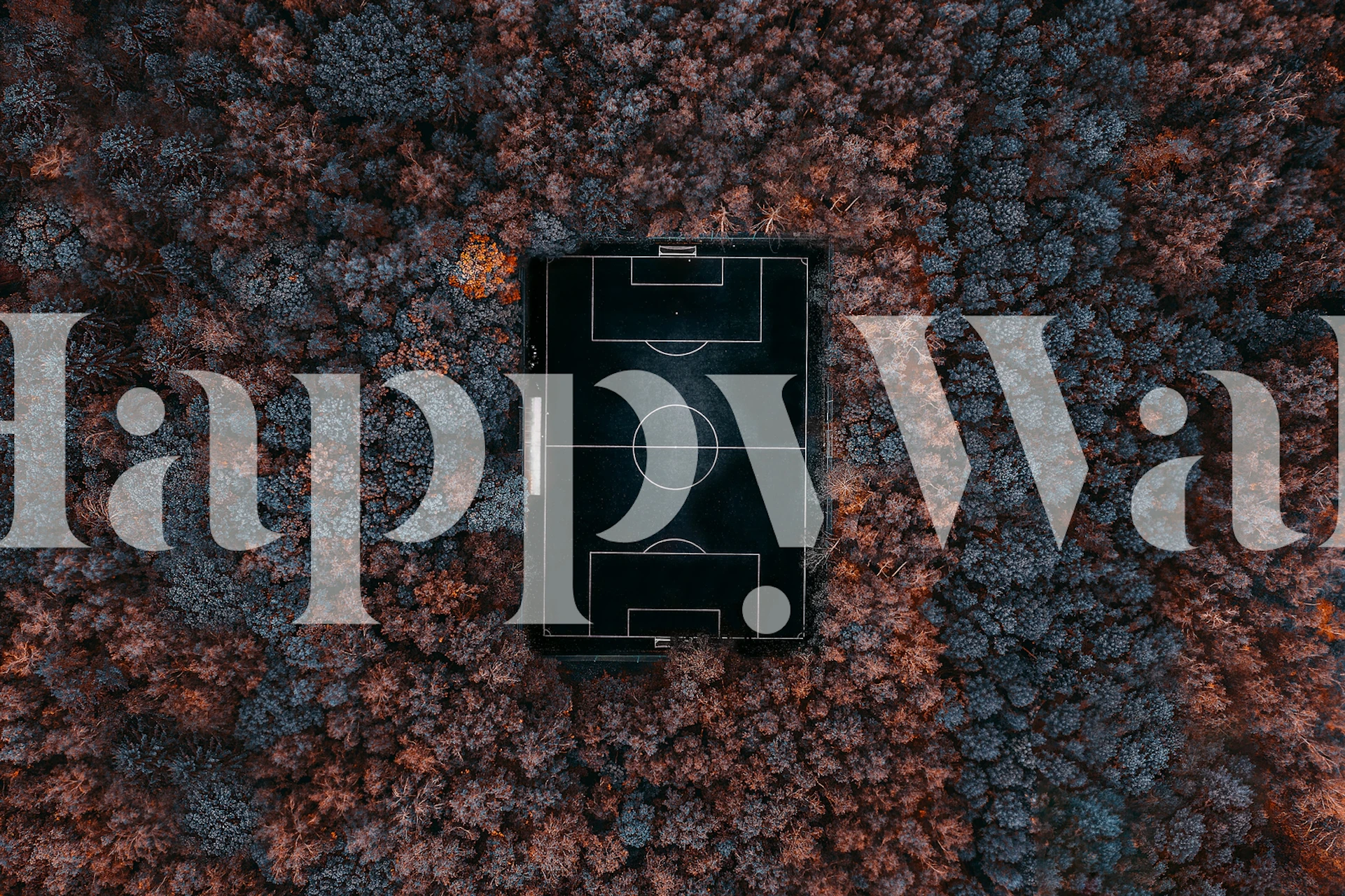 Aerial view of a soccer field surrounded by forest. Green and brown wallpaper