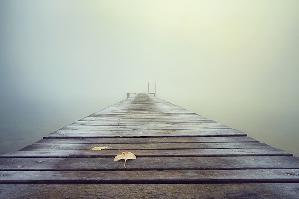 Cold and Misty Morning