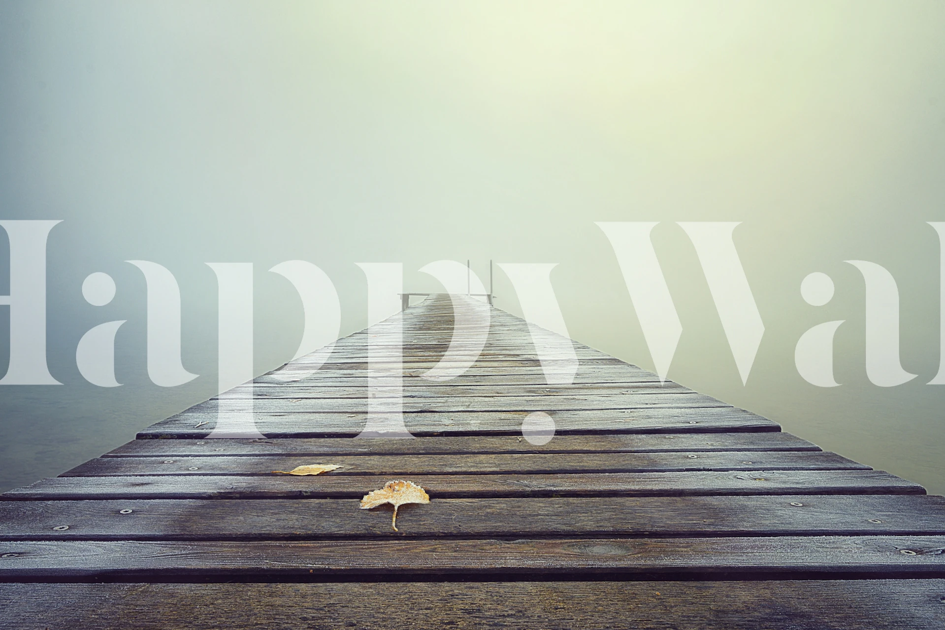 Cold and Misty Morning tapetdesign