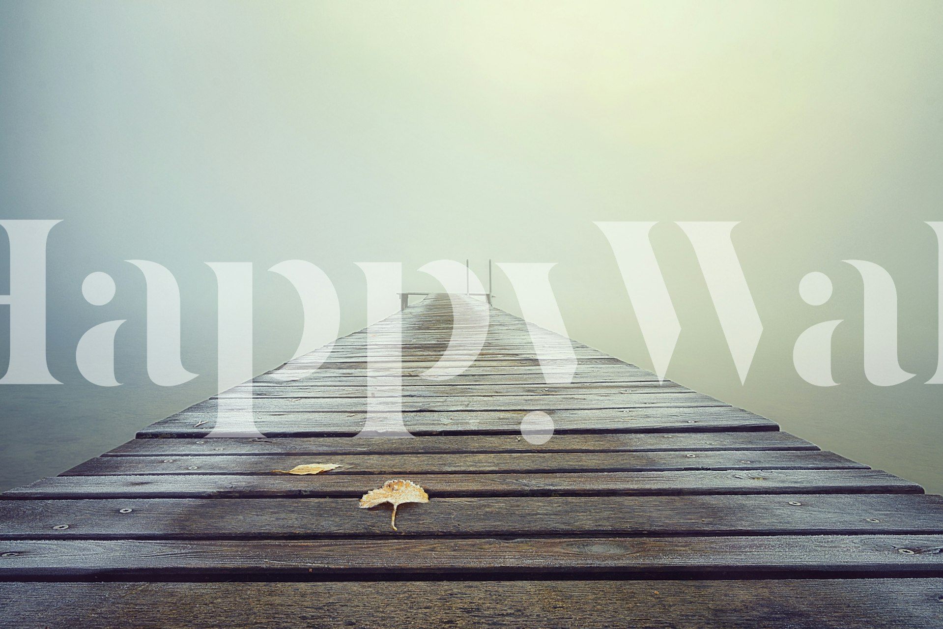 Cold and misty morning wallpaper design