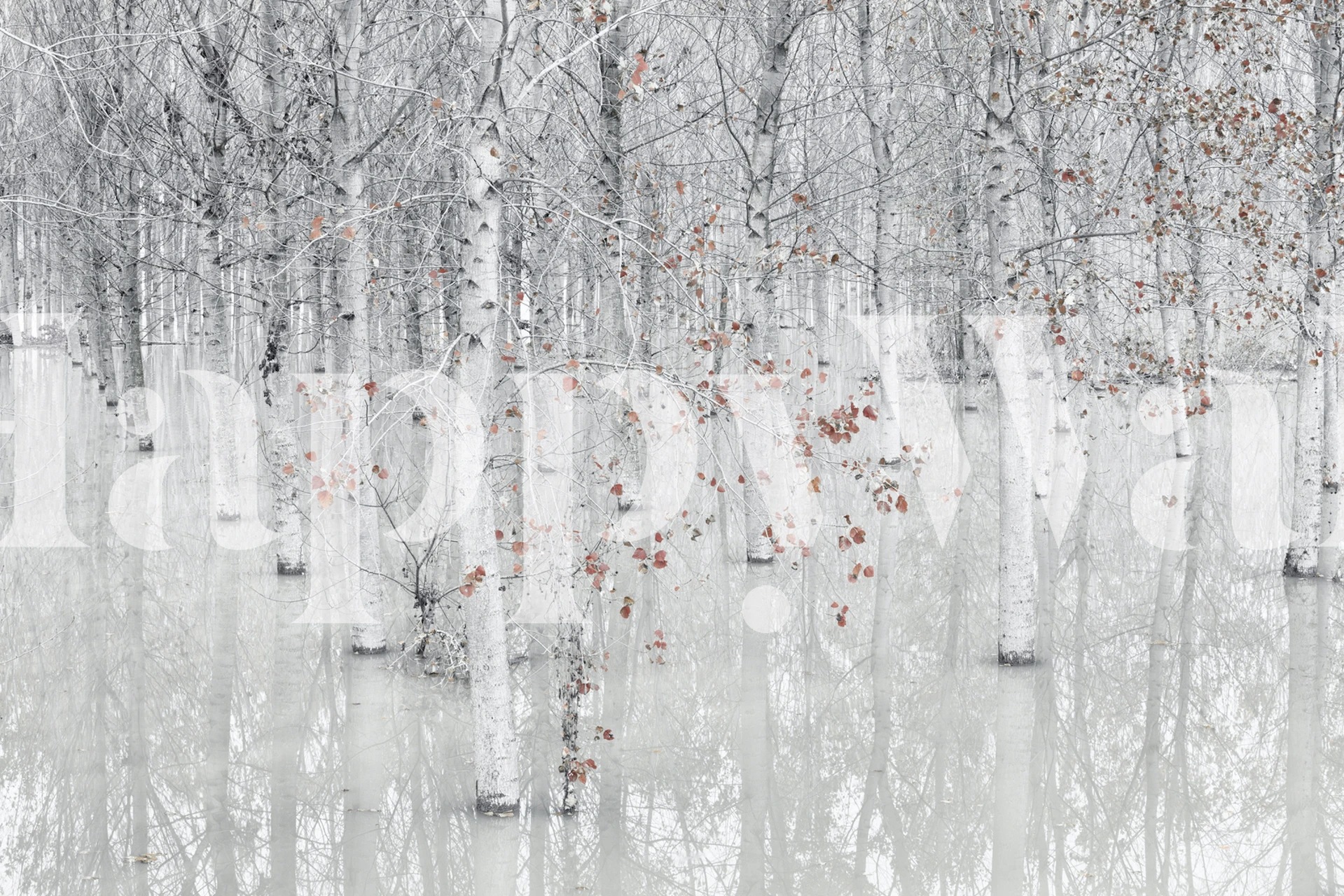 Red and white tapeta w stylowym pokoju