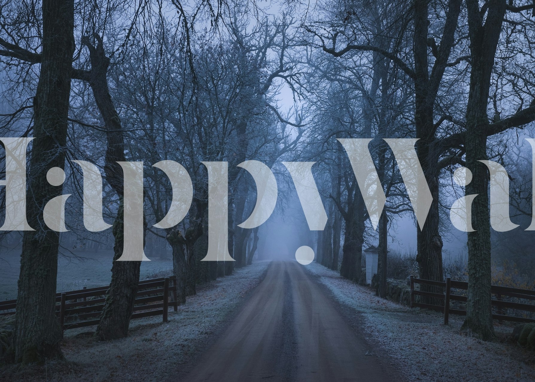 Sleepy Hollow wall mural depicting a serene, tree-lined pathway shrouded in mist