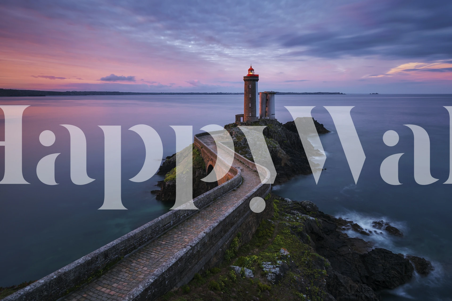 Papier peint Petit Minou chat dans une pièce